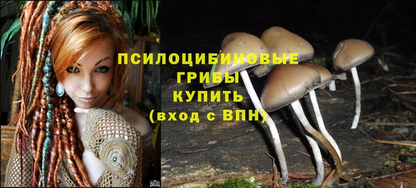 гашик Осинники