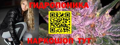 гашик Ипатово
