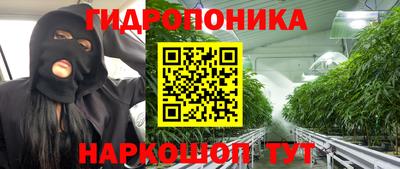 гашик Ипатово